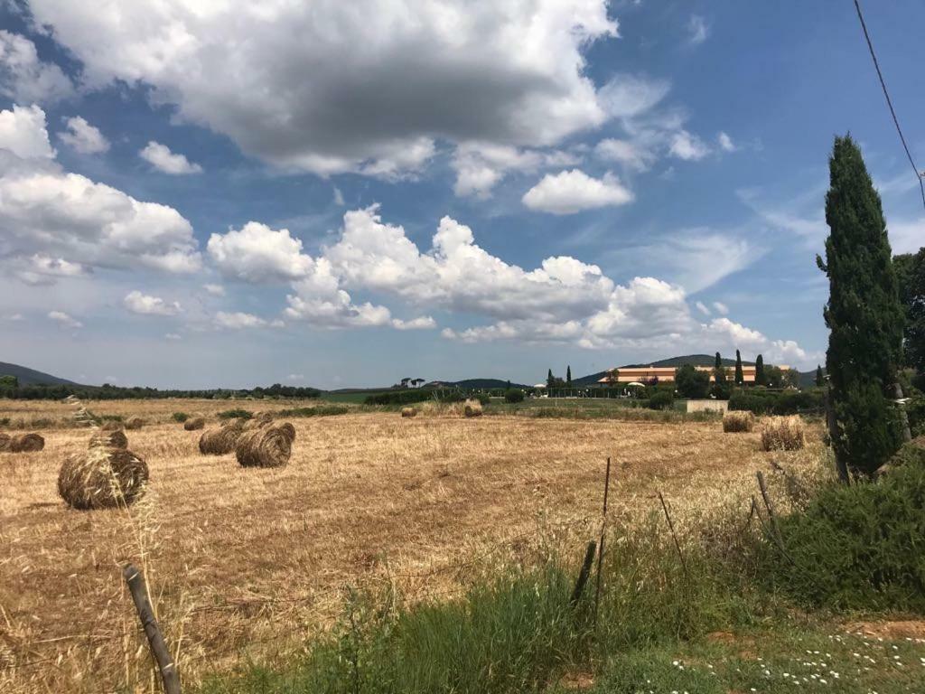 Agriturismo Colle D' Oro Pescia Romana Exterior foto